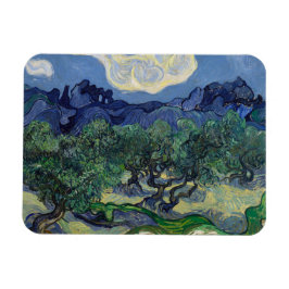 Ímã Oliveiras de Vincent Van Gogh
