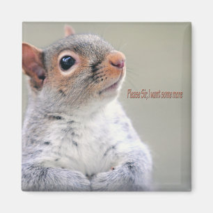 Imã Oliver Twist Squirrel