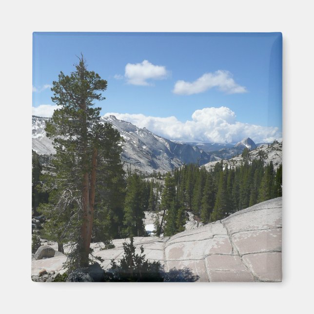 Imã Olmsted Point III no Parque Nacional de Yosemite (Frente)