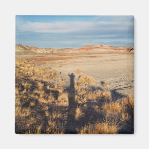 Imã Onda do deserto: Foto do parque nacional de