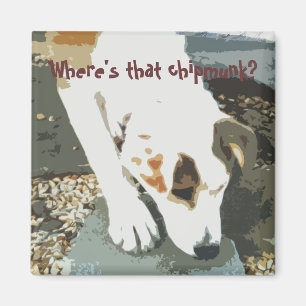 Imã Onde está esse chipmunk? Ímã