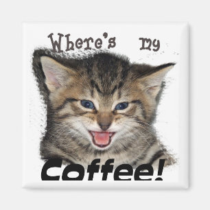 Imã Onde está meu gato do café