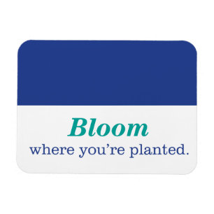 Ímã Onde você é plantado