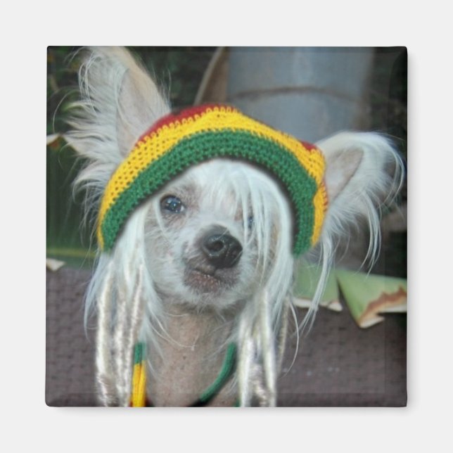 Imã One Love Chinese Crested Rasta Dog Magnet (Frente)