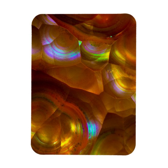 Ímã Opala de fogo laranja iridescente (Vertical)