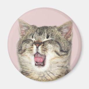 Imã Open mouthed o gatinho