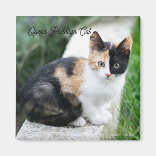 Imã Ópera - Fantasma