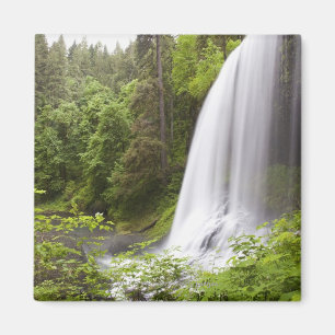 Imã Opinião borrada da cachoeira e da floresta em