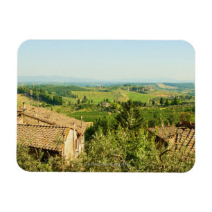 Ímã Opinião de ângulo alto das casas com o vinhedo n