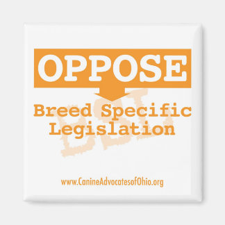 Imã Opor Magneto Quadrado BSL