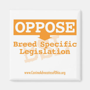 Imã Opor o ímã quadrado de BSL