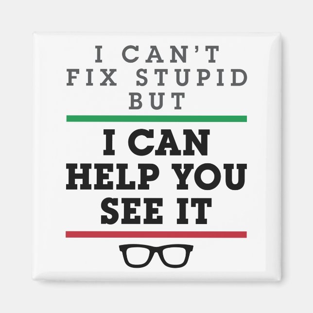 Imã Optometria Oftalmologia Optometria Ver Estúpidos (Frente)