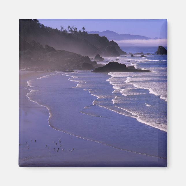 Imã OR, Costa do Oregon, Ecola SP, Indian Beach com (Frente)