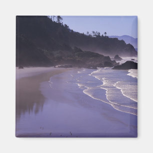 Imã OR, Ecola SP, Indian Beach com nevoeiro matinal