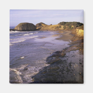 Imã OR, Oregon Coast, Newport, costa no Selo