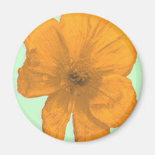 Imã Orange Aid/ PopArt Flower