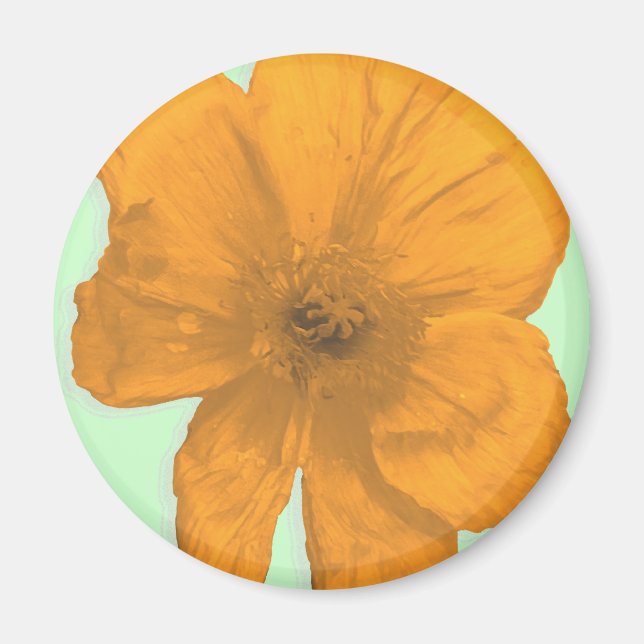 Imã Orange Aid/ PopArt Flower (Frente)