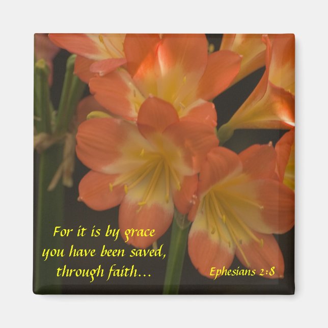 Imã Orange Amaryllis (Frente)