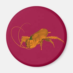Imã Orange Cockroach