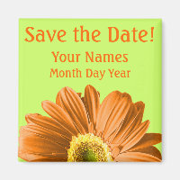 Orange Daisy Flower Salve A Data Personalizada