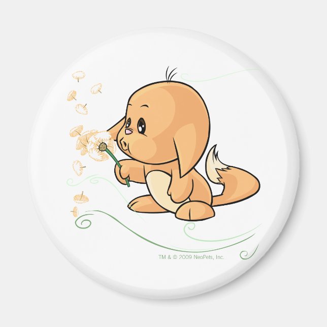 Imã Orange Kacheek desejando um dandelion (Frente)