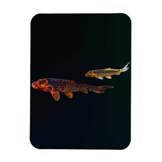 Ímã Orange Koi e Dourado Koi (Vertical)