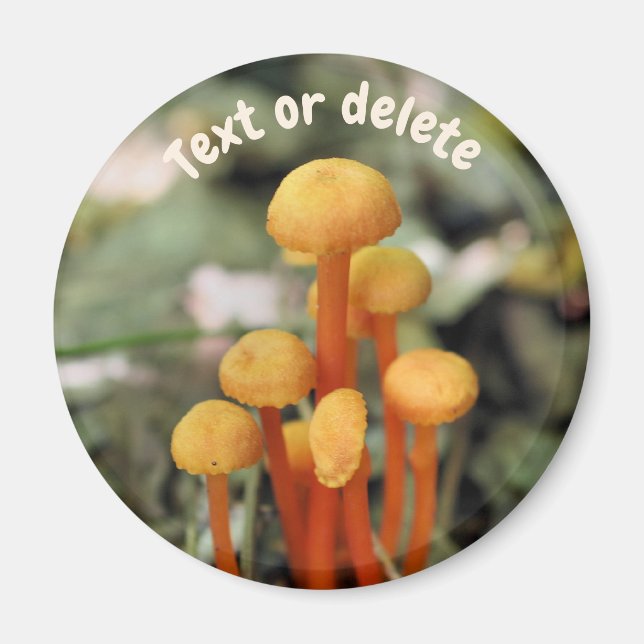 Imã Orange Mushrooms Nature Personalized (Frente)