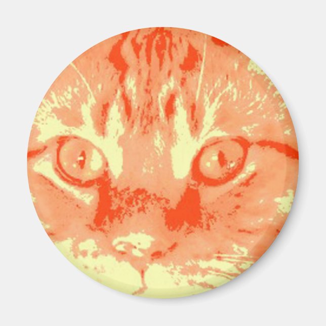 Imã Orange Tabby Cat (Frente)