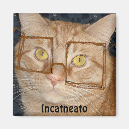 Imã Orange Tabby Cat/Incognito Humor