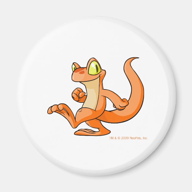 Imã Orange Techo em busca (Frente)