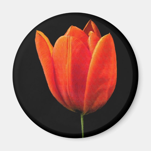 Imã OrangeTulip (Frente)