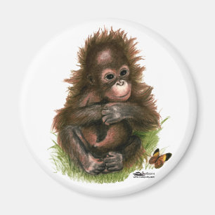Imã Orangutan Baby e Butterfly