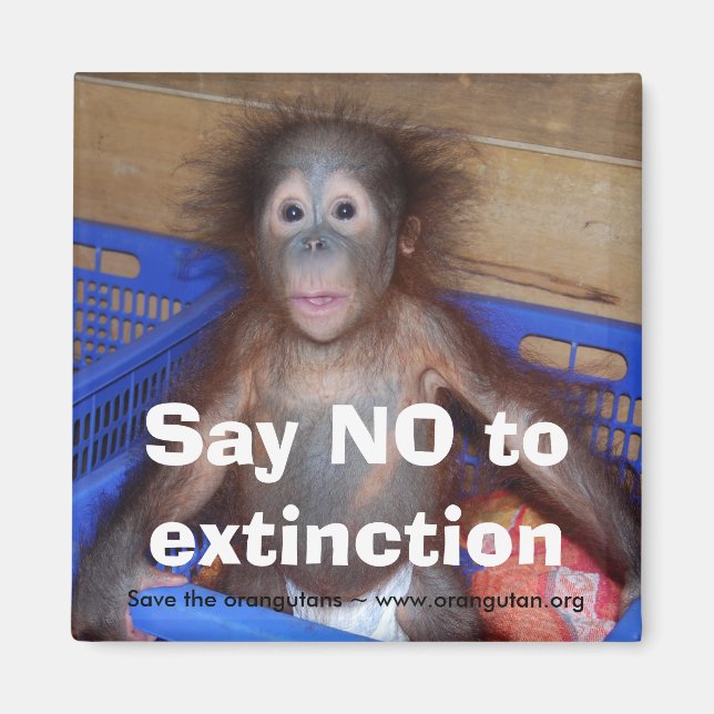 Imã Orangutan Conservation (Frente)