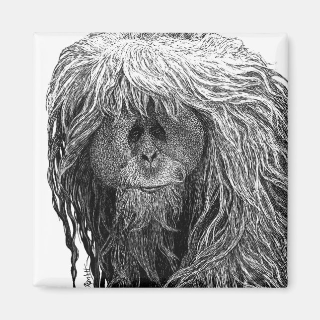 Imã Orangutan Magnet (Frente)