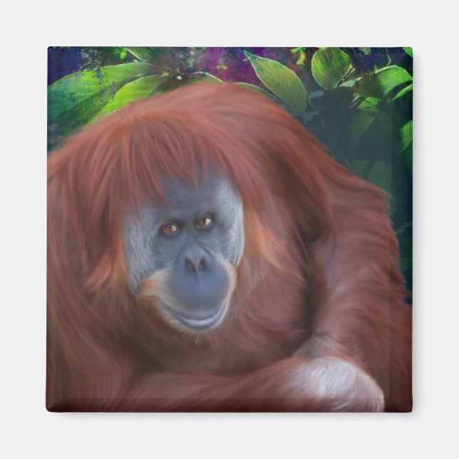 Imã Orangutan Magnet (Frente)