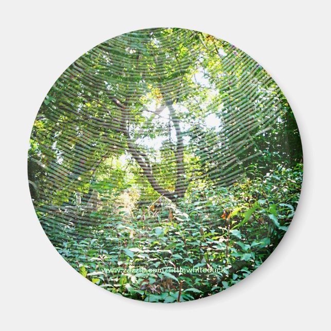 Imã Orb Spider Web - Magnet (Frente)