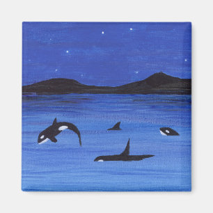 Imã Orca