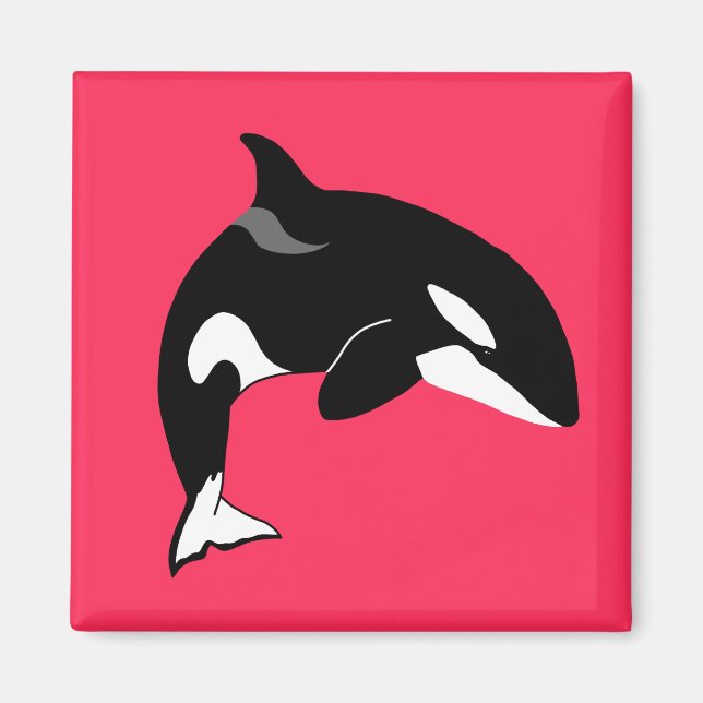Imã Orca Baleia Assassina  (Frente)
