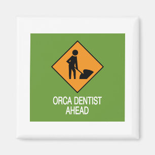 Imã Orca Dentist À Frente