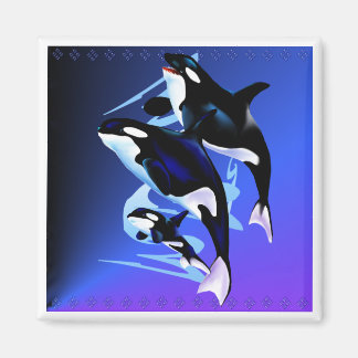 Imã Orca Family Magnets