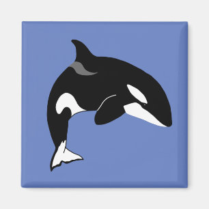 Imã Orca Killer Whale 