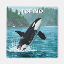 Orca no Tofino Canada Viagem