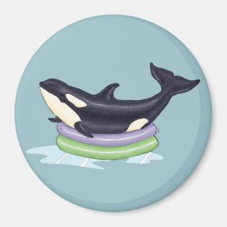 Imã Orca numa piscina de natação
