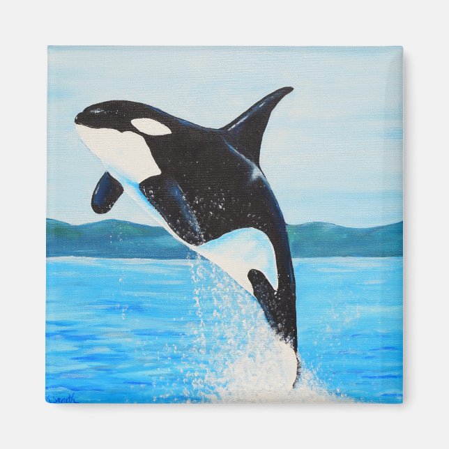 Imã Orca Painting (Frente)