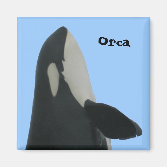 Imã Orca Spyhop Magnet (Frente)