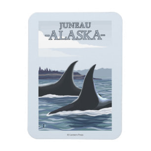 Ímã Orca Whales #1 - Juneau, Alasca