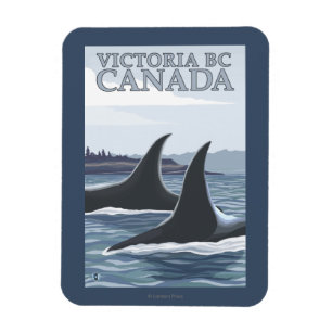 Ímã Orca Whales nº 1 - Victoria, BC Canadá