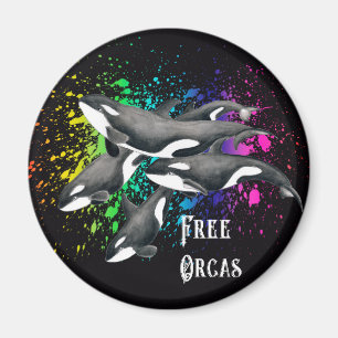 Imã Orca Whales Watercolor Splash Black