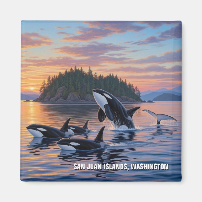 Imã Orcas em Washington san juan Islands viagem (Frente)