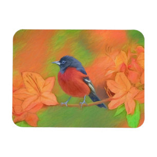 Ímã Orchard Oriole Songbird Pintura Original